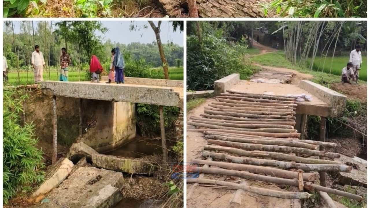 কালভার্ট নাকি জাদুর পাটি! পেকুয়ায় শূন্যে দাঁড়িয়ে ৫ বছর আগের কালভার্ট, ধসের শঙ্কা
